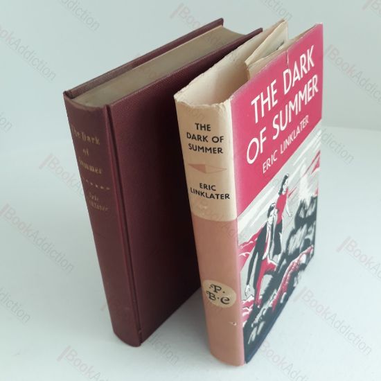 Picture of The Dark of Summer