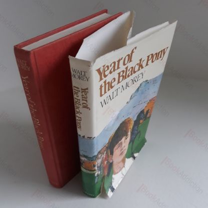 Picture of Year of the Black Pony