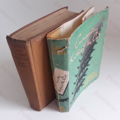 Picture of Curiousity Killed the Cat