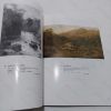 Picture of Fine Victorian Paintings (Auction Catalogue, Phillips, July 1988)