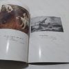 Picture of Fine Victorian Paintings (Auction Catalogue, Phillips, March 1989)