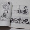 Picture of Japanese Prints : 300 Years of Albums and Books