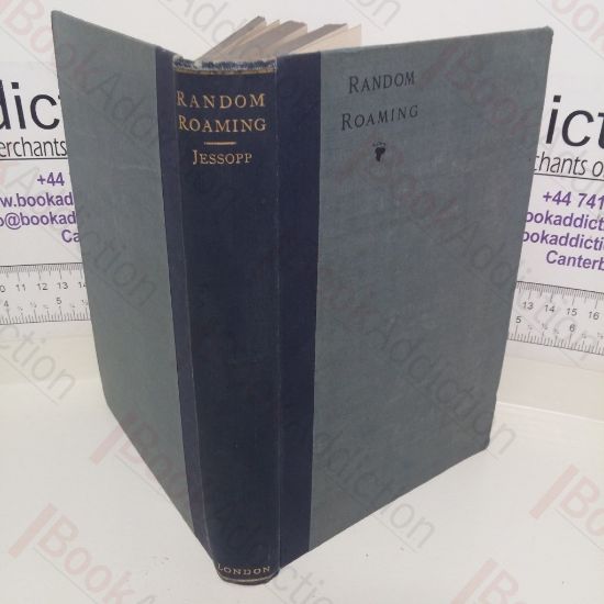 Picture of Random Roaming and Other Papers