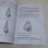 Picture of The Gastropods of Lake Tanganyika: Diagnostic Key, Classification and Notes on the Fauna