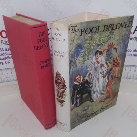 Picture of The Fool Beloved