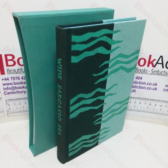 Picture of Wide Sargasso Sea