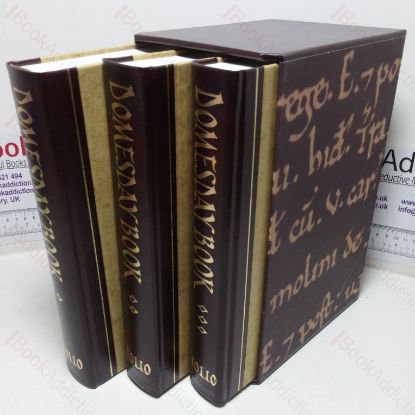 Picture of Domesday Book: A Complete Translation (Three Volume Set)