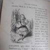 Picture of Alice's Adventures in Wonderland