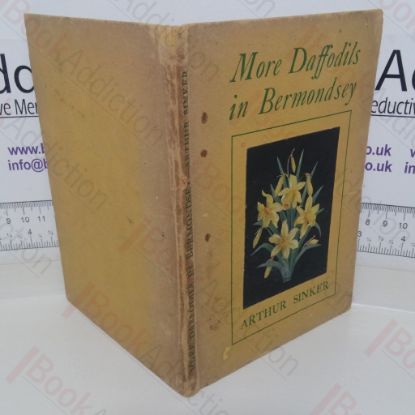 Picture of More Daffodils in Bermondsey