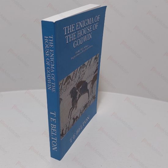 Picture of The Enigma of the House of Godwin