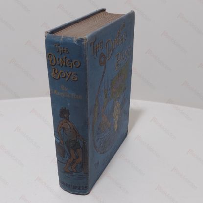 Picture of The Dingo Boys, or the Squatters of Wallaby Range