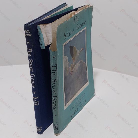 Picture of The Snow Goose