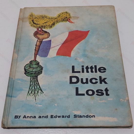 Picture of Little Duck Lost