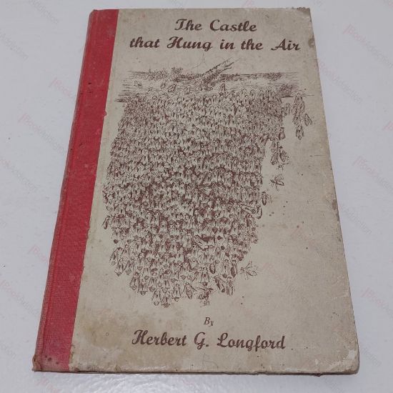 Picture of The Castle That Hung in the Air