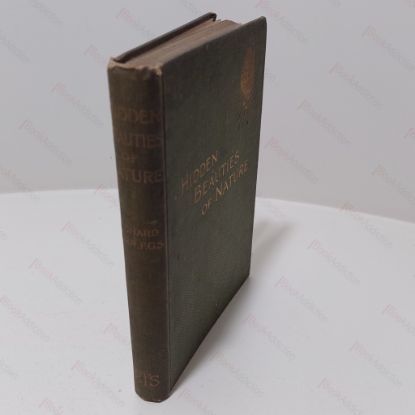 Picture of Hidden Beauties of Nature