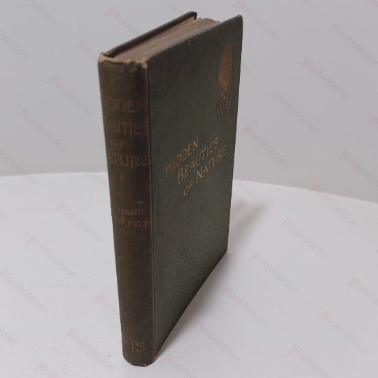 Picture of Hidden Beauties of Nature