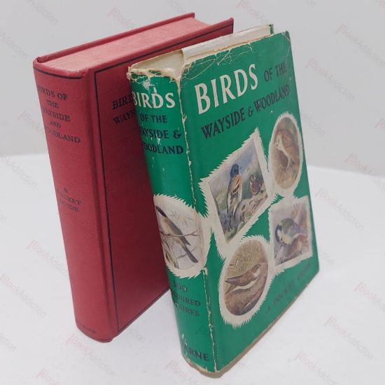 Picture of Birds of the Wayside and Woodland : Comprising a Descriptive History of the Families Corvidale to Tetraonidae