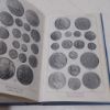 Picture of Handbook of the Coins of Great Britain and Ireland in the British Museum