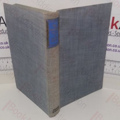 Picture of The Stumbling-Stone