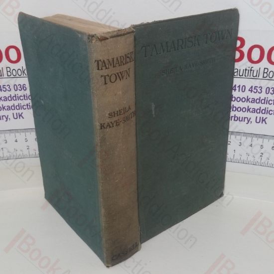 Picture of Tamarisk Town