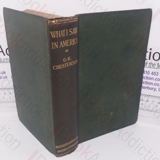 Picture of What I Saw in America