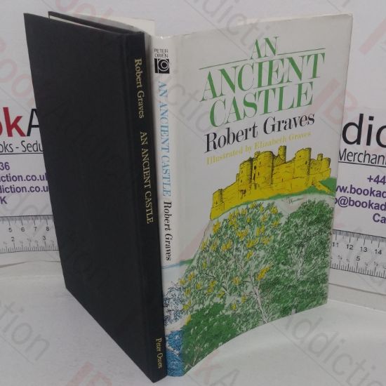 Picture of Ancient Castle