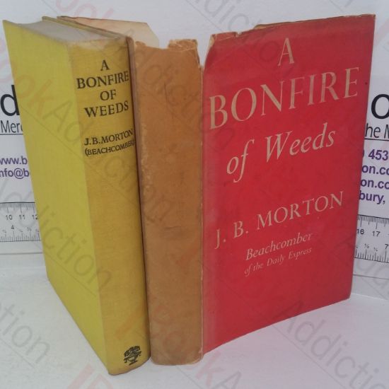 Picture of A Bonfire of Weeds