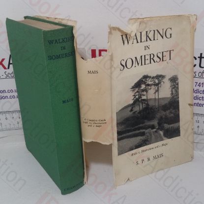 Picture of Walking in Somerset