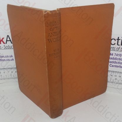 Picture of Marvels of the Animal World