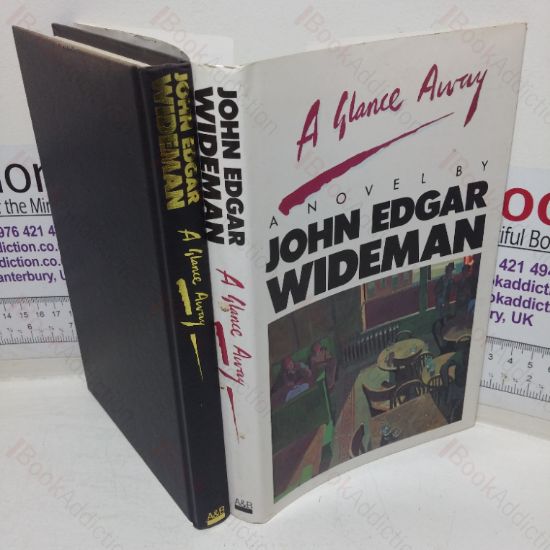 Picture of A Glance Away: A Novel