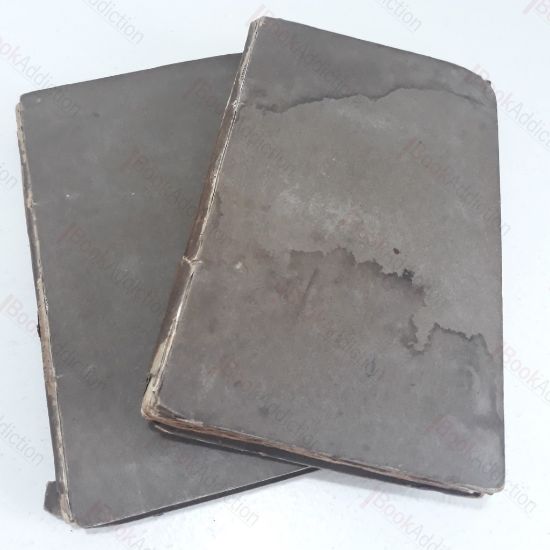 Picture of Paradise Lost, Books 1 to 12 (2 Volumes)