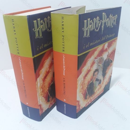 Picture of Harry Potter i el misteri del Princep