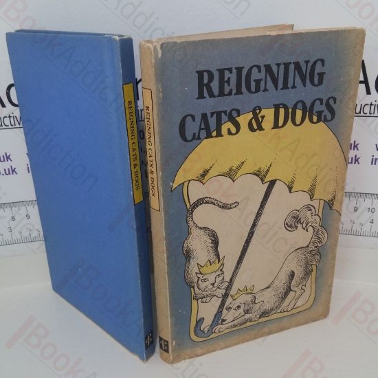 Picture of Reigning Cats and Dogs