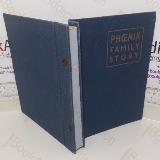 Picture of Phoenix Family Story