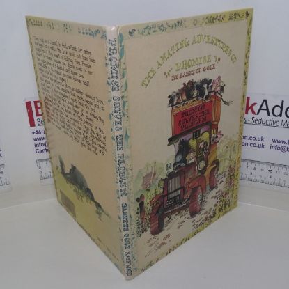 Picture of The Amazing Adventures of Promise: Promise Solves the Problem (Signed and Inscribed)