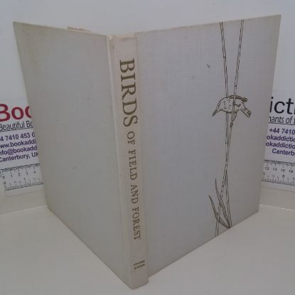 Picture of Birds of Field and Forest