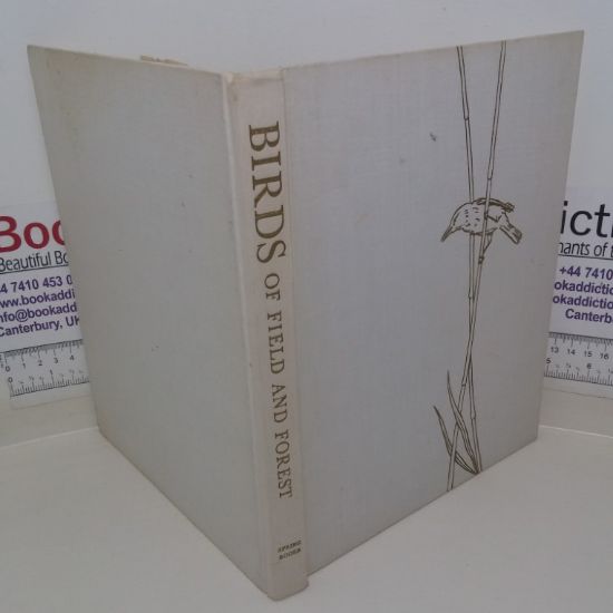 Picture of Birds of Field and Forest