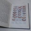 Picture of Common British Moths (The 'Peeps' series)