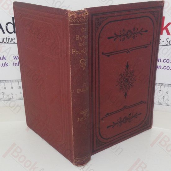 Picture of The Baptism of the Holy Ghost