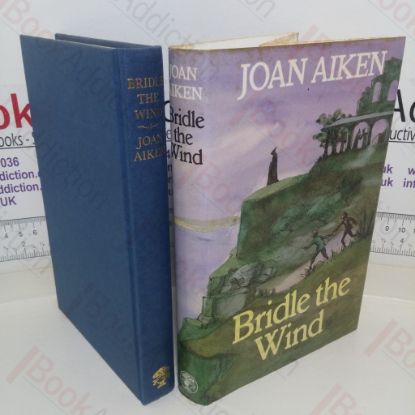 Picture of Bridle the Wind