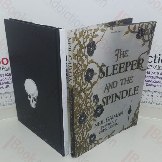 Picture of The Sleeper and the Spindle