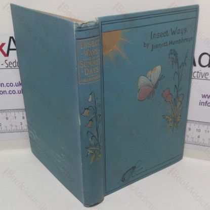 Picture of Insect Ways on Summer Days in Garden, Forest, Field and Stream