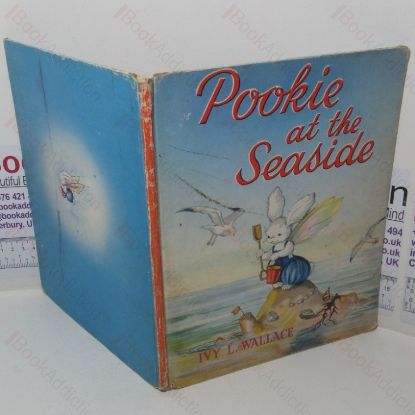 Picture of Pookie and at the Seaside