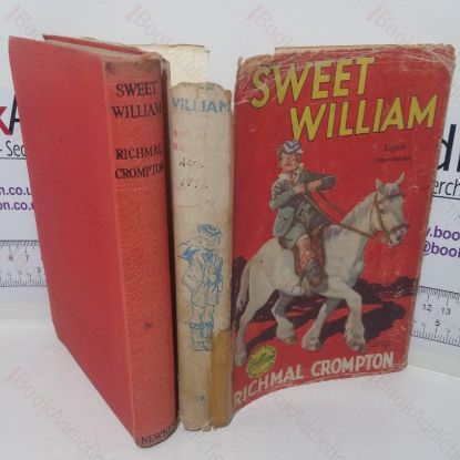 Picture of Sweet William