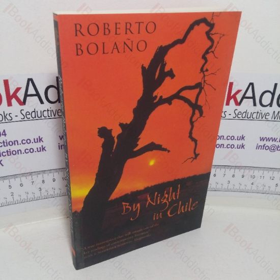 Picture of By Night in Chile