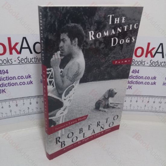 Picture of The Romantic Dogs: Poems, 1980-1998