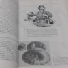 Picture of Surrey Archaeological Collections  - Volume 88