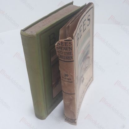 Picture of Bees : Shown to the Children