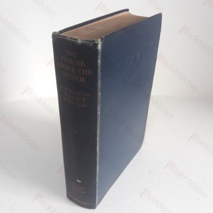 Picture of The House Under the Water