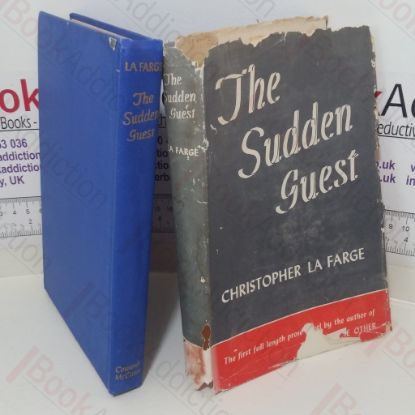Picture of The Sudden Guest